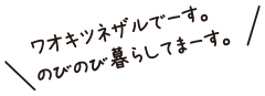 ワオキツネザルでーす。のびのび暮らしてまーす。