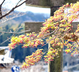 宇賀部神社のイメージ画像