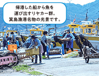 帰港した船から魚を運び出すリヤカー群。箕島漁港名物の光景です。