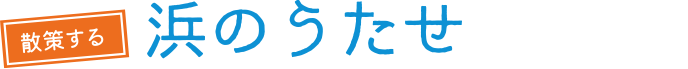 浜のうたせ
