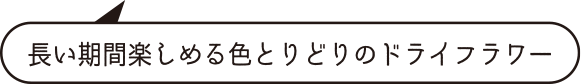 長い期間楽しめる色とりどりのドライフラワー