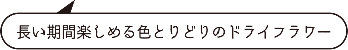 長い期間楽しめる色とりどりのドライフラワー