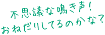 不思議な鳴き声!おねだりしてるのかな?