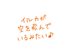 イルカが空を飛んでいるみたい♪