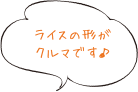 ライスの形がクルマです♪