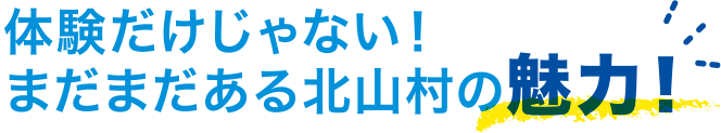 体験だけじゃない!まだまだある北山村の魅力!