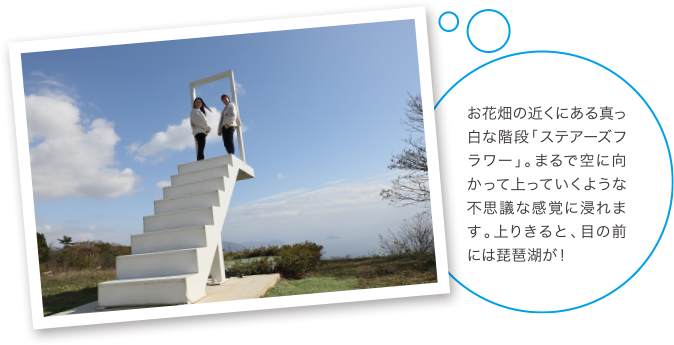 上りきると、目の前には琵琶湖が!