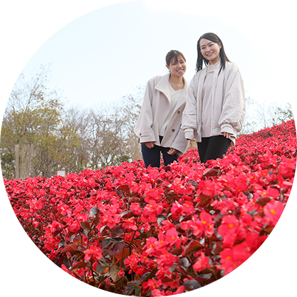 色とりどりの季節の花