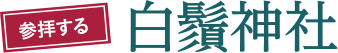 参拝する 白鬚神社