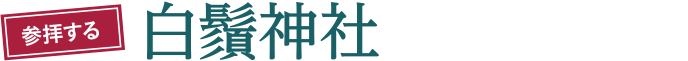 参拝する 白鬚神社