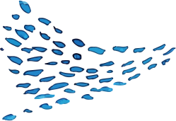 魚のイラスト