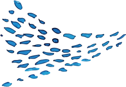 魚のイラスト