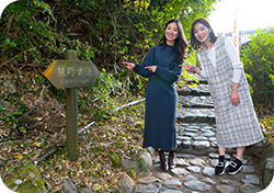 つぼ湯の近くに熊野古道の道しるべが