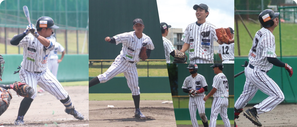 県内唯一のプロ野球チーム!和歌山ウェイブスを応援しよう!