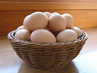 1人5個まで自由に割り入れられます