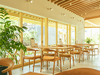 みかんの木 店内