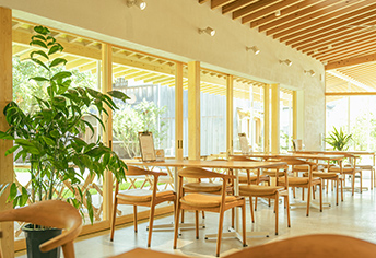 みかんの木 店内