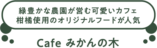 緑豊かな農園が営む可愛いカフェ柑橘使用のオリジナルフードが人気。 Cafe みかんの木