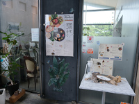 マーレライの店内